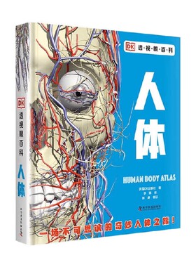 DK透视眼百科 人体 7-14岁 英国DK出版社 著 科普百科