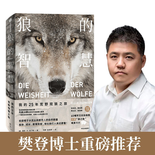 狼的智慧 我的25年荒野观狼之旅拉丁格著动物智慧 进化论 狼性 适应力 竞争力 领导力 人性 狼的百科 狼的行为中信出版社图书 正版