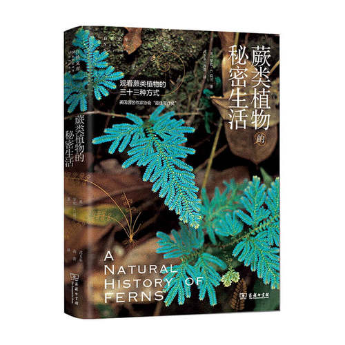 蕨类植物的秘密生活  美罗宾C莫兰  著  科普读物 生物世界
