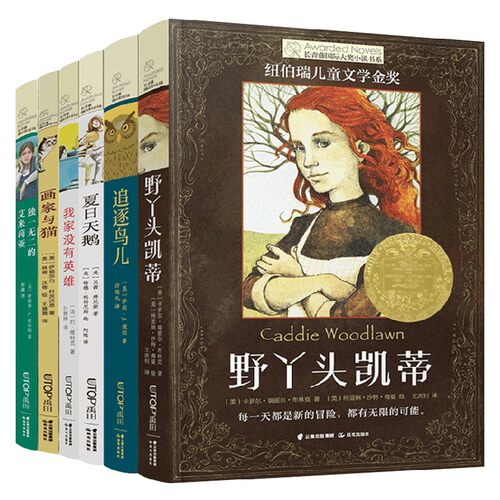 长青藤国际大奖小说第十三辑全套