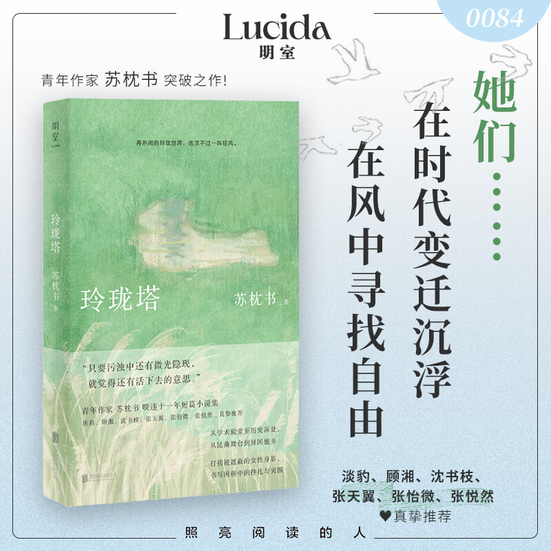 玲珑塔 苏枕书小说 七个身陷世俗玲珑宝塔故事知识女性的精神探索基层教育职场困境家庭压力生活图景 松子落春山好京都古书店风景