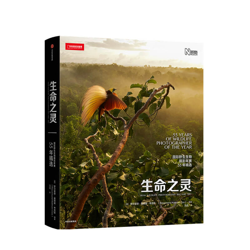 生命之灵  野生生物摄影年赛55年精选 罗莎蒙德基德曼考克斯 著 获奖摄影师奚志农袁明辉联袂 生命 中信