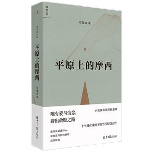 平原上的摩西 双雪涛著 周冬雨刘昊然电影原著 刺杀小说家飞行家猎人聋哑时代翅鬼中国悬疑推理小说