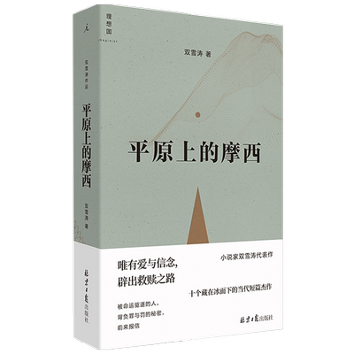平原上的摩西 双雪涛著 周冬雨刘昊然电影原著 刺杀小说家飞行家猎人聋哑时代翅鬼中国悬疑推理小说