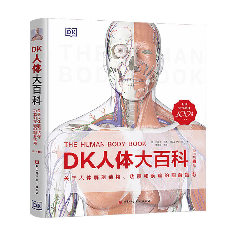 关于人体解剖结构养生