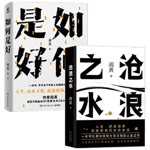 如何是好+沧浪之水 套装2册 阎真 著 文学