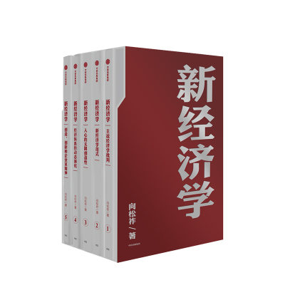 新经济学 向松祚 著  经济学研究新范式 创造性 经济体系 行为经济学  中信出版社图书 正版