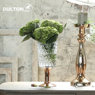 家居现代创意花艺水养摆件文创 插花欧式 多样式 日本DULTON玻璃花瓶