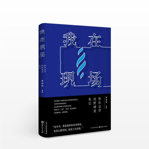我在现场 性社会学田野调查笔记 黄盈盈 等 人文社科