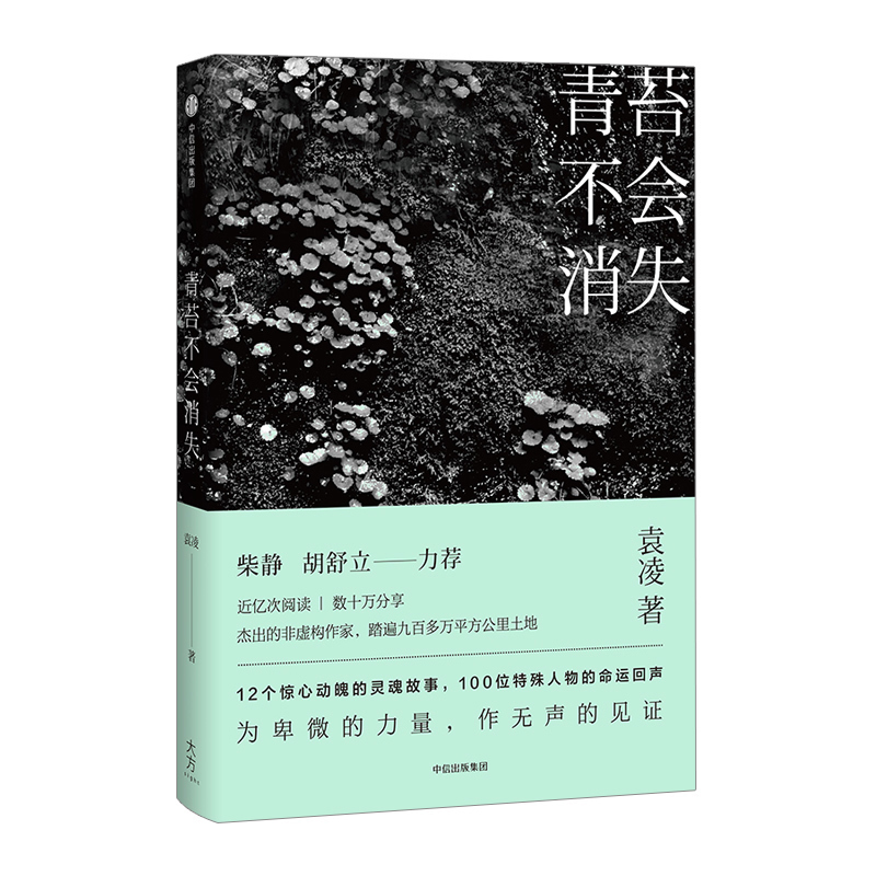 青苔不会消失 袁凌 著 柴静、胡舒立激赏 年度十大好书 12个惊心动魄的灵魂故事，100位特殊人物的命运回声中信出版