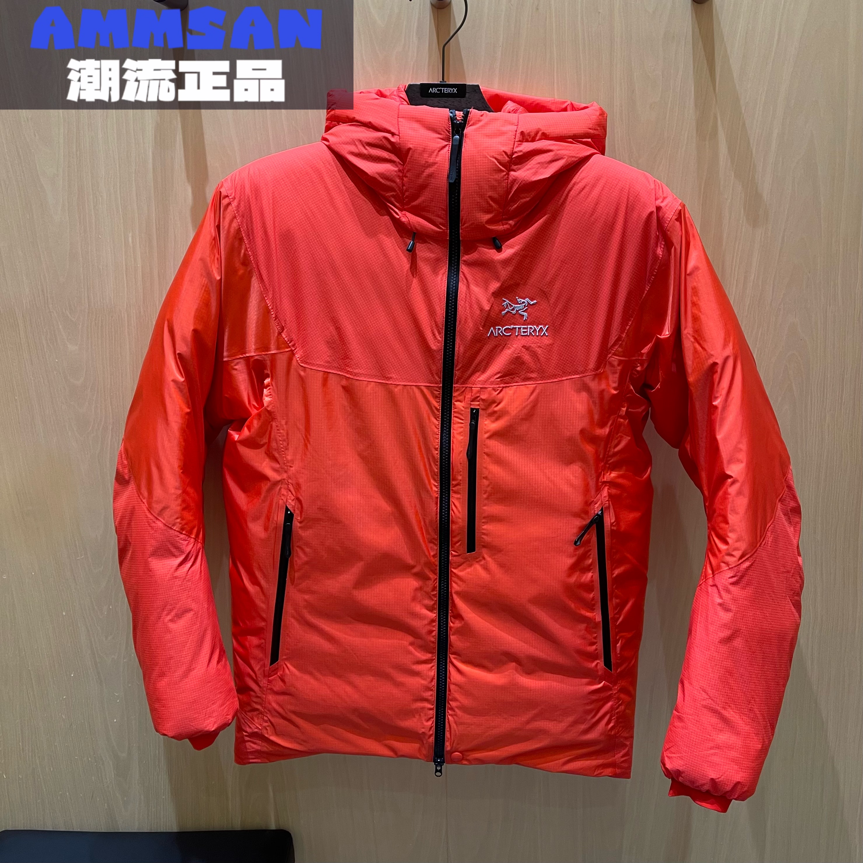 Arcteryx始祖鸟ALPHA INFINIUM™ GTX男款透气保暖防风防水羽绒服