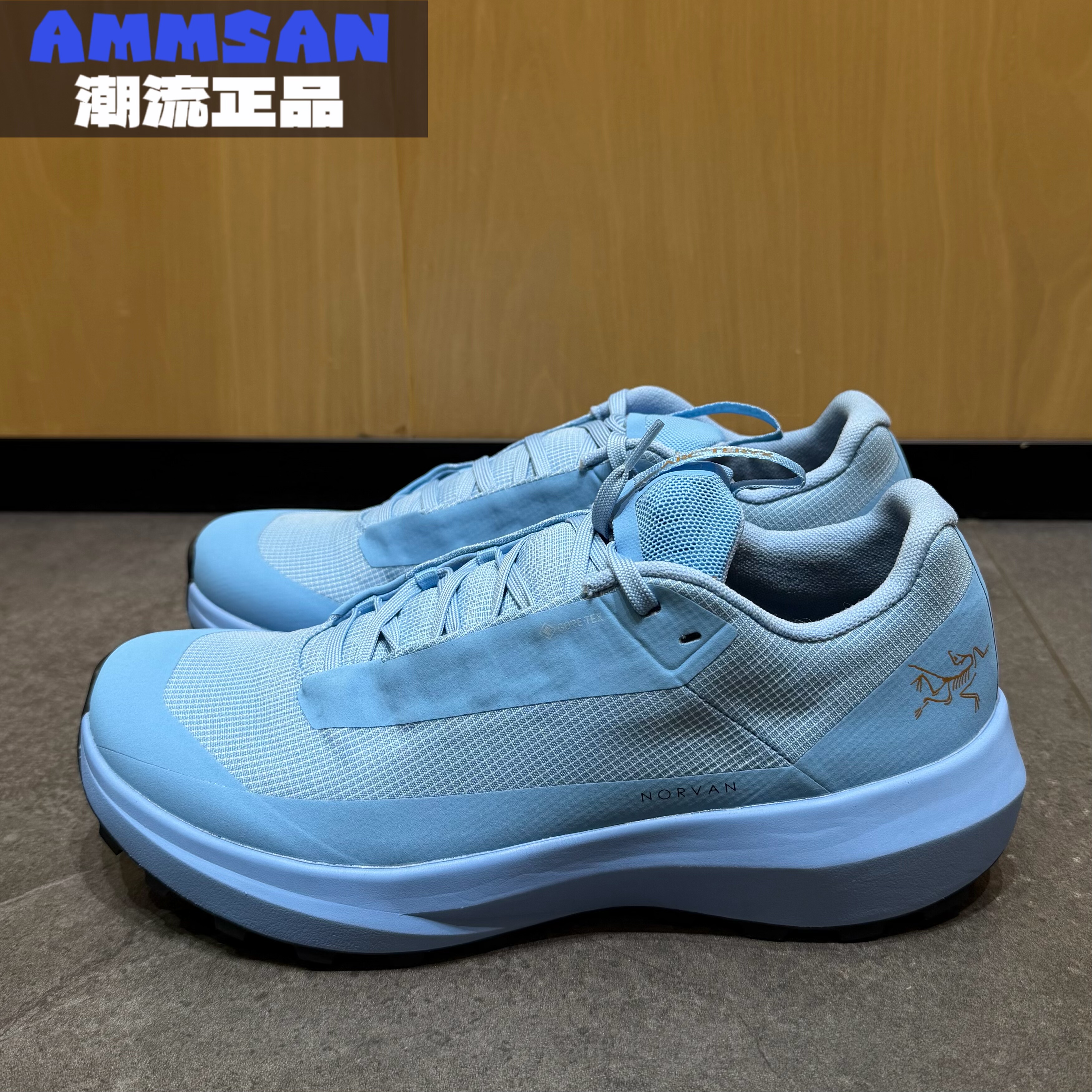Arcteryx始祖鸟Norvan LD 4 GTX女款防水防滑多地形低帮越野跑鞋