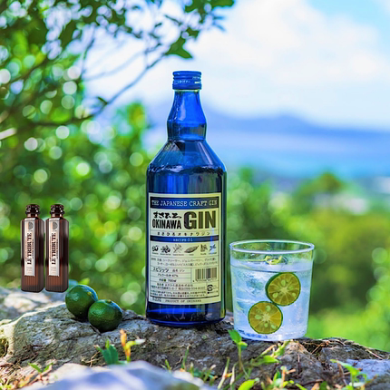 日本进口昌广冲绳金酒1号OKINAWA GIN夏日清新微风小众杜松子酒
