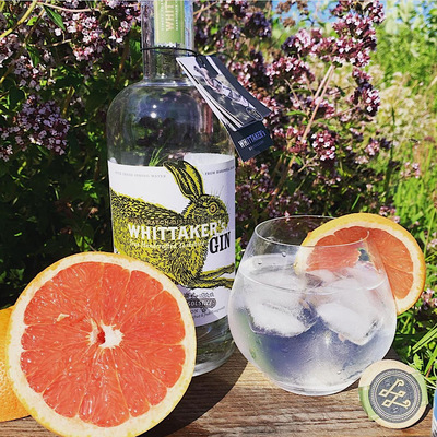 英国WHITTAKER威兔可春黄菊金酒