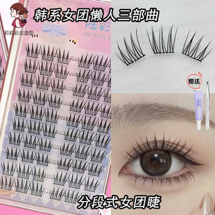 ACE女团假睫毛猫爪短款 睫毛陆彩堂 自然韩系单簇懒人三部曲分段式