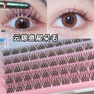 云锦单簇睫毛小恶魔鱼尾自然分段式朵毛短款羽扇款假睫毛萌睫尚品