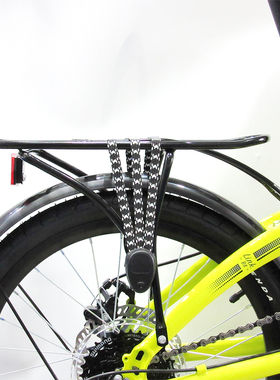 Tern燕鸥B8货架20寸碟刹折叠自行车后架载物行李架骑行长途驮货D8