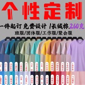 纯白t恤定制班服印字logo短袖 手绘diy纯棉空白圆领广告衫 工服定做