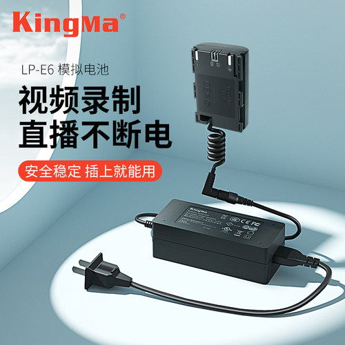 适用佳能LPE6假电池室内直播相机