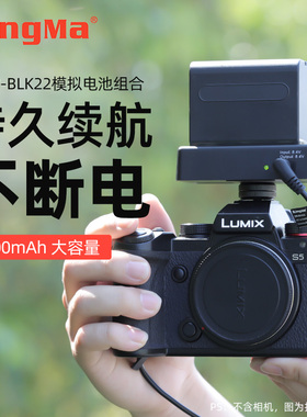 劲码blf19e假电池外接电源户外适用松下S5/S5K/S52X/gh5m2/s5mark2 GH6 GH5S GH4 GH3 G9相机视频直播BLK22