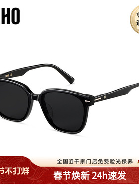 LOHO商场同款太阳眼镜GM防紫外线墨镜高级感新款黑框LH41602