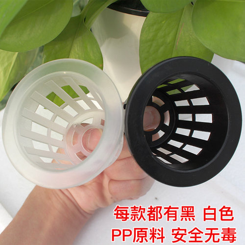 1件50套无土栽培水培定植篮送绵