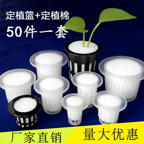 1件50套无土栽培水培定植篮送绵