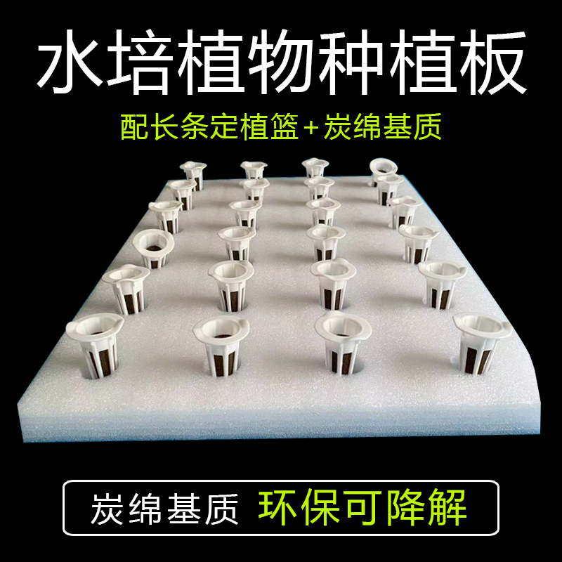漂浮板水培种菜配套定植篮海绵