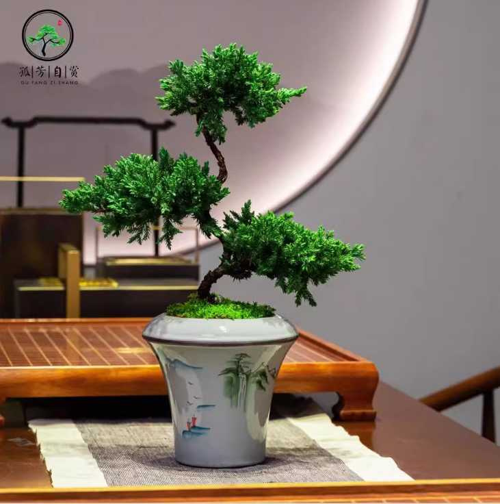 迎客松真柏造型树三层塔松盆景办公室内桌面松柏禅意中式花卉盆栽