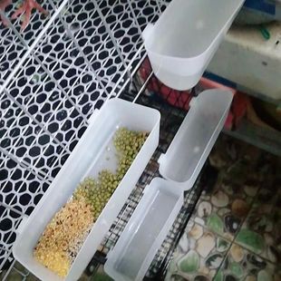 鸽子食槽料盒信鸽喂食器鸽子笼用品用具赛鸽料斗种鸽食槽喂粮食器