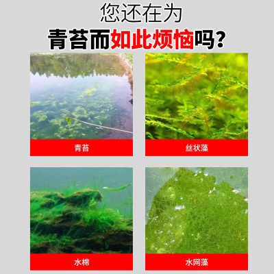 生物青苔宁除藻剂不伤鱼虾蟹不伤水草净水鱼塘虾蟹水藻绿藻除青苔