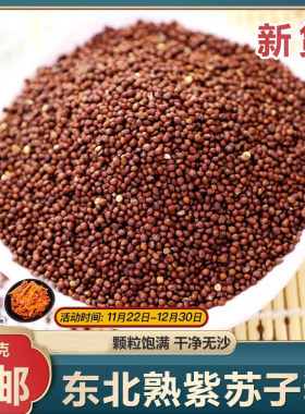 东北新炒紫苏子籽紫苏籽食