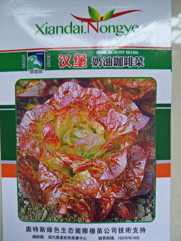 蔬菜种子套餐阳台种菜种子四季易种水果菜籽庭院春夏秋四季播