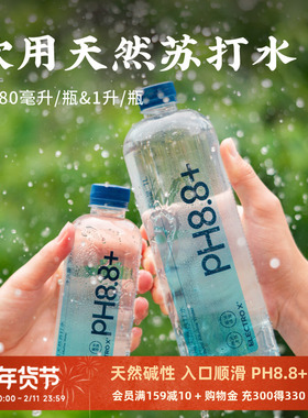 日食记 ELECTROX粒刻饮用天然苏打水380ml*12瓶pH8.8碱性冷矿泉