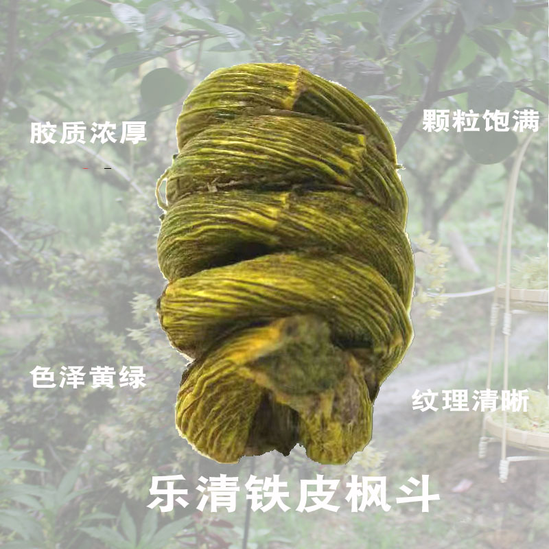 乐清雁荡山产地斛农直销一级石斛切片 石斛磨粉 铁皮颗粒铁皮枫斗