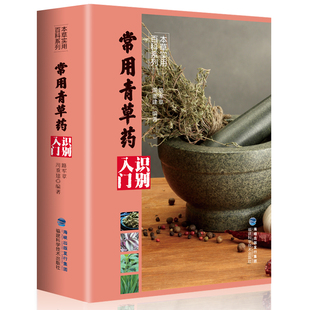 常用青草药识别入门本草实用百科系列中药材百科中药材书籍大全 图解中草药材中药配方大全中药书大全中药材图谱野外辨别草药书籍