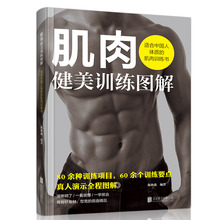 彩图肌肉健美训练图解训练指南