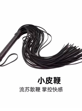流苏情侣小皮鞭cosplay软鞭子少女演出道具鞭子SP玩具工具男朋友