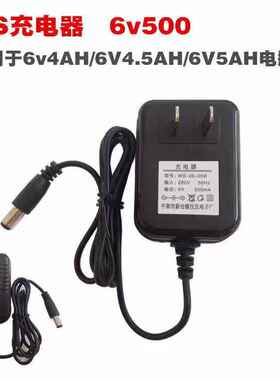 WS电源适配器儿童电动童车充电器WS-06-05B汪氏6V500mA电池充电器