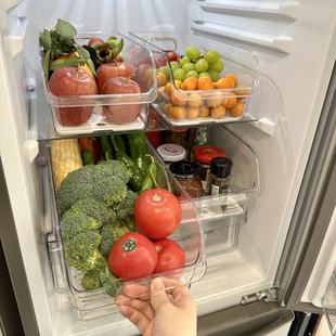 储物盒保鲜盒冷冻 日本冰箱收纳盒整理盒食品级鸡蛋蔬菜分类抽屉式