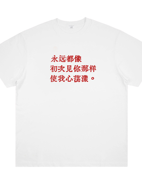 永远都像初次见你那样使我心荡漾音乐节周边印花短袖宽松赵雷T恤