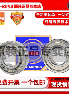 nsk轴承6301 6301轴承进口 6301高速轴承 6301RS 6301dd 6301z