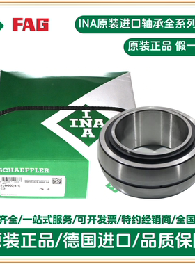 德国INA轴承 德国进口 SL06020-E 满装圆柱滚子轴承