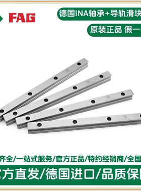 ina导轨 TSX65-E-G3-475 50/50 ina导轨滑块 修形轨道