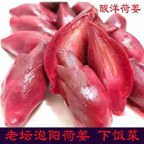 安康老坛酸洋荷姜洋火姜阳荷姜