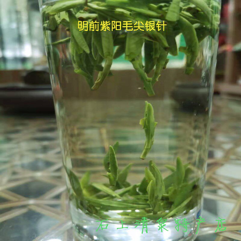 绿茶2026新茶明前紫阳高山茶雨前毛尖银针茶陕西安康手工茶叶散装