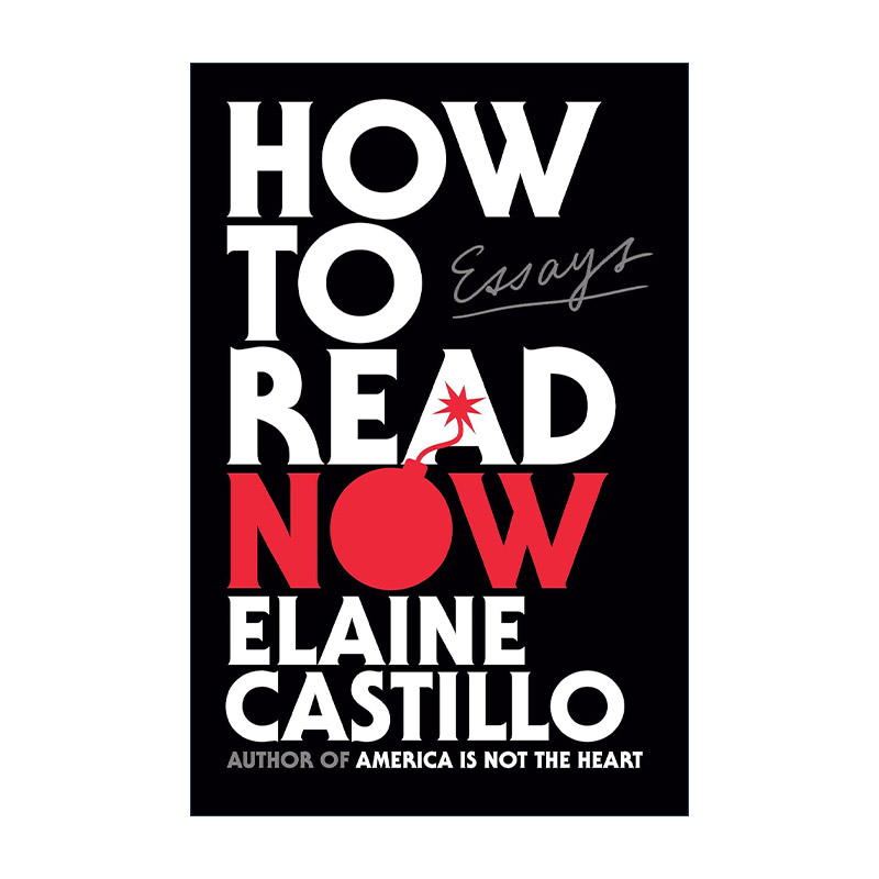 英文原版 How to Read Now 现在如何阅读 文学比较与批评 Elaine Castillo 精装 英文版 进口英语原版书籍