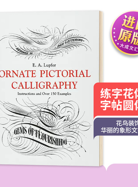 花鸟装饰 练字花体字字帖圆体字 英文原版 Lupfer Ornate Pictorial Calligraphy 英文版进口原版英语书籍