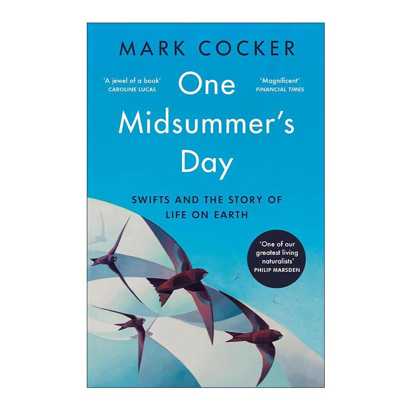 英文原版 One Midsummer's Day 仲夏雨燕 连接地球生命的奇妙纽带 英文版 进口英语原版书籍
