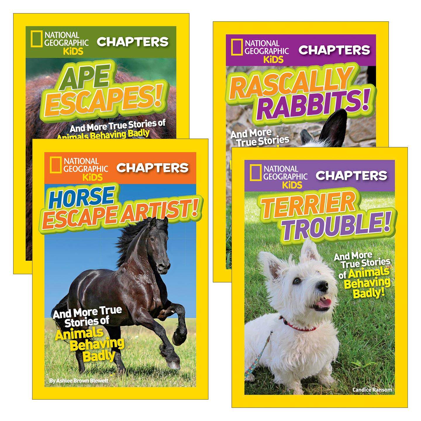 英文原版 National Geographic Kids Chapters 国家地理儿童章节书 动物混乱系列4册 英文版 进口英语原版书籍